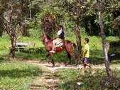 Enlarge photo 108