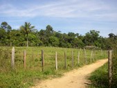 Enlarge photo 110