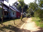 Enlarge photo 111