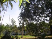 Enlarge photo 112