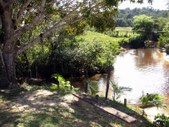 Enlarge photo 124