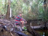 Enlarge photo 37