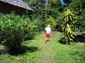 Enlarge photo 12