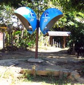 Enlarge photo 17