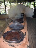 Enlarge photo 51