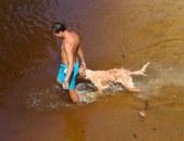Enlarge photo 58