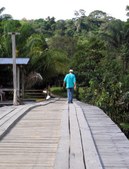 Enlarge photo 14