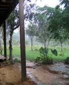 Enlarge photo 59