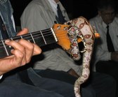 Enlarge photo 49
