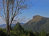 Matutu - Lion's Head