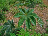 Enlarge photo 27
