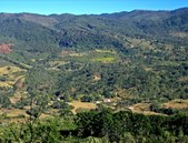 Enlarge photo 38