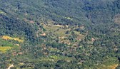 Enlarge photo 37