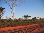 Enlarge photo 3