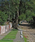Enlarge photo 22