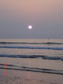 Enlarge photo 99