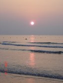 Enlarge photo 97