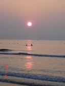 Enlarge photo 96