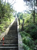 Enlarge photo 73