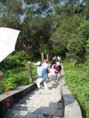 Enlarge photo 74