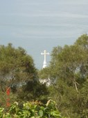 Enlarge photo 65