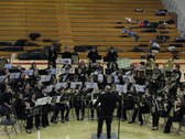 <b>MI Band Festival</b>