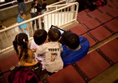 Enlarge photo 47