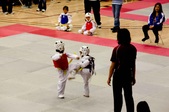 Enlarge photo 61