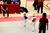 Enlarge photo 62