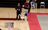Enlarge photo 63