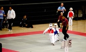 Enlarge photo 66