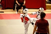 Enlarge photo 75