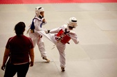 Enlarge photo 78