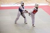 Enlarge photo 99
