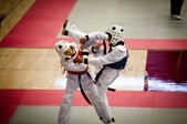 Enlarge photo 104