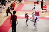 Enlarge photo 108
