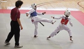 Enlarge photo 111