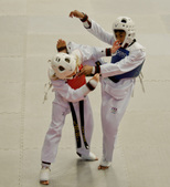 Enlarge photo 113