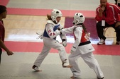 Enlarge photo 116