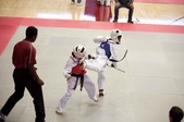 Enlarge photo 143