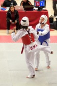 Enlarge photo 147