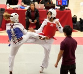 Enlarge photo 148