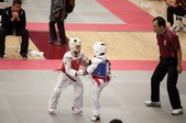 Enlarge photo 156