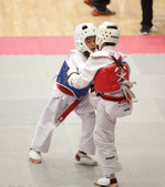Enlarge photo 157