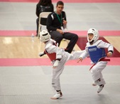 Enlarge photo 159