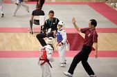 Enlarge photo 162
