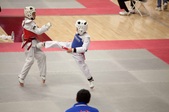Enlarge photo 163