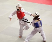 Enlarge photo 166