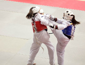 Enlarge photo 167