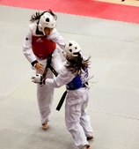 Enlarge photo 168
